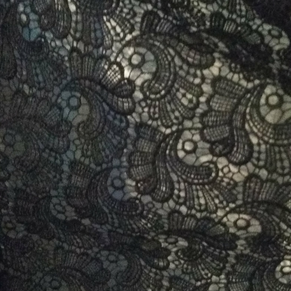 Lace Blouse - Picture 3 of 3